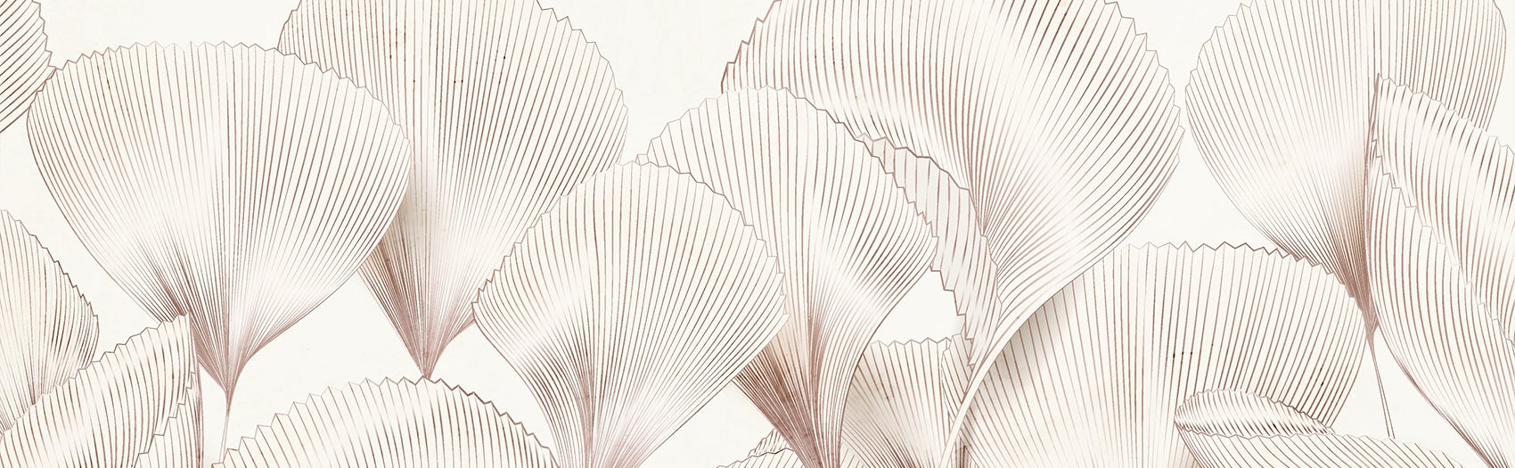 The current image has no alternative text. The file name is: 2478371035.png